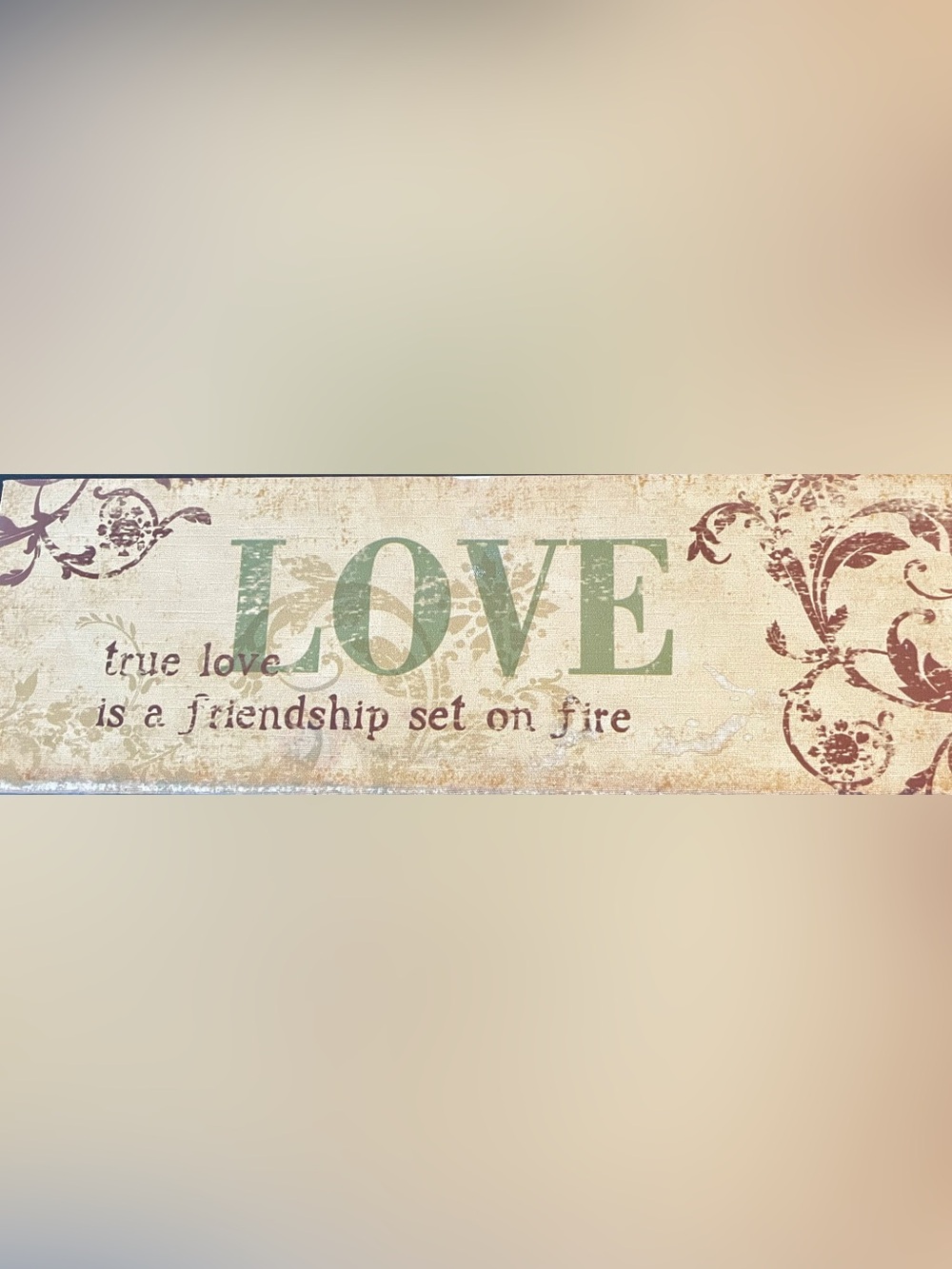 Romantic Country VINTAGE Style 
LOVE/FRIENDSHIP Canvas/Wood Wall Art💚